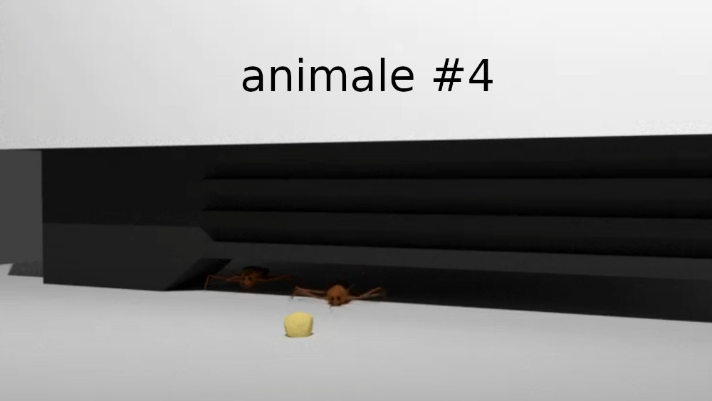 animale #4