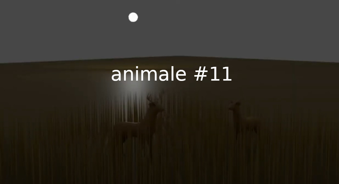 animale #11