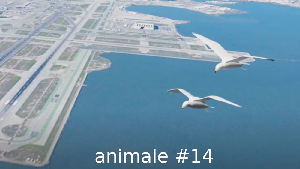 animale #14