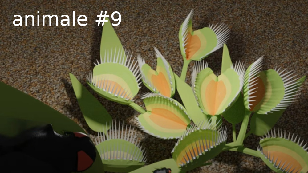 animale #9